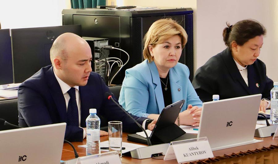 В Астане обсудили вопросы развития социально-трудовой сферы с представителями Международной организации труда — фото 2