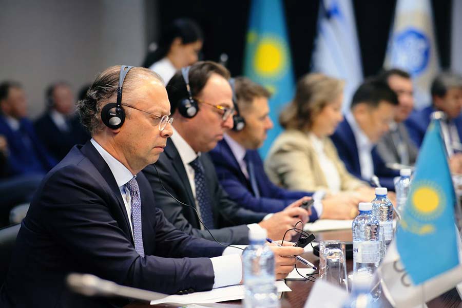 Вопросы использования резервных объемов электроэнергии Тенгизшевройл и NCOC обсудили в Астане — фото 10