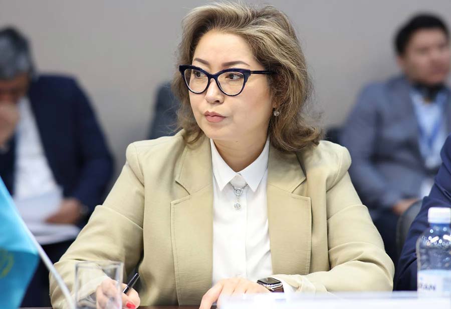 Вопросы использования резервных объемов электроэнергии Тенгизшевройл и NCOC обсудили в Астане — фото 7