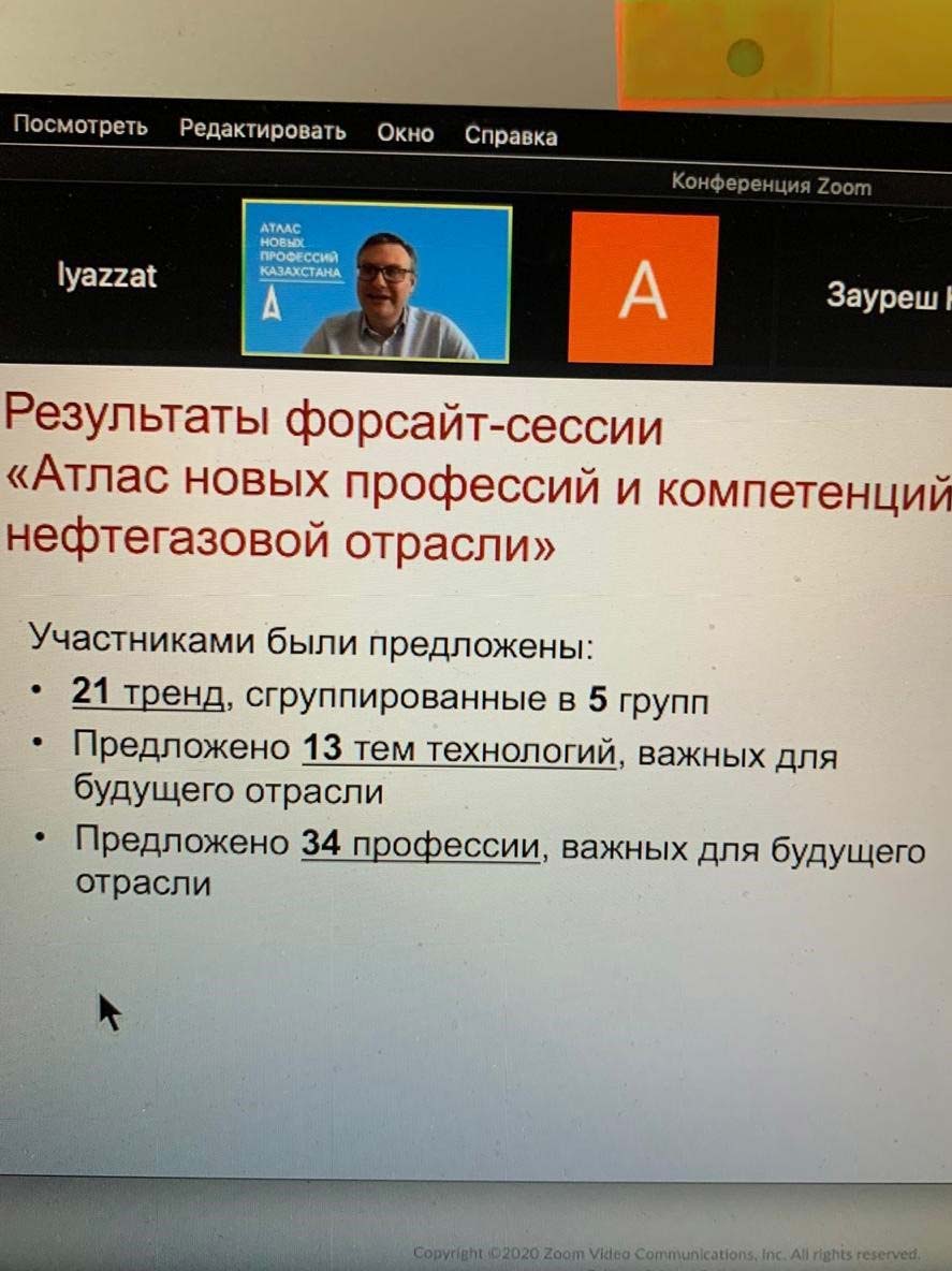 О презентации предварительных результатов Форсайта по созданию отраслевого Атласа — фото 3