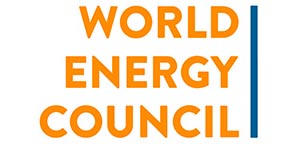 Всемирный энергетический совет